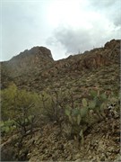 Tucson 2538